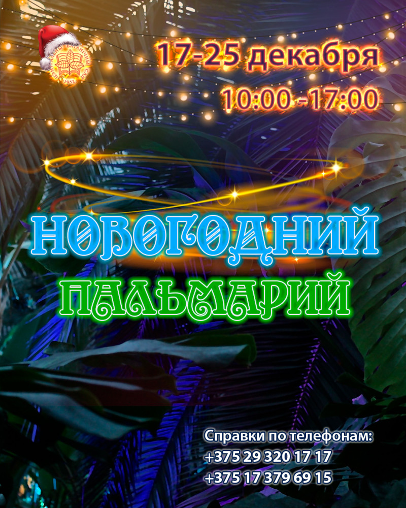 Новогодний Пальмарий!!!!