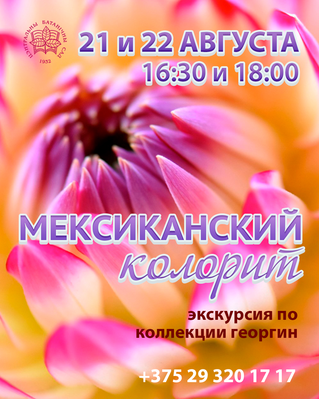 Мексиканский колорит! Экскурсии по коллекции георгин с куратором