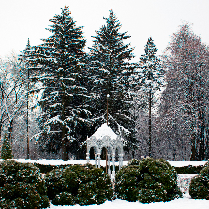 Центральный партер